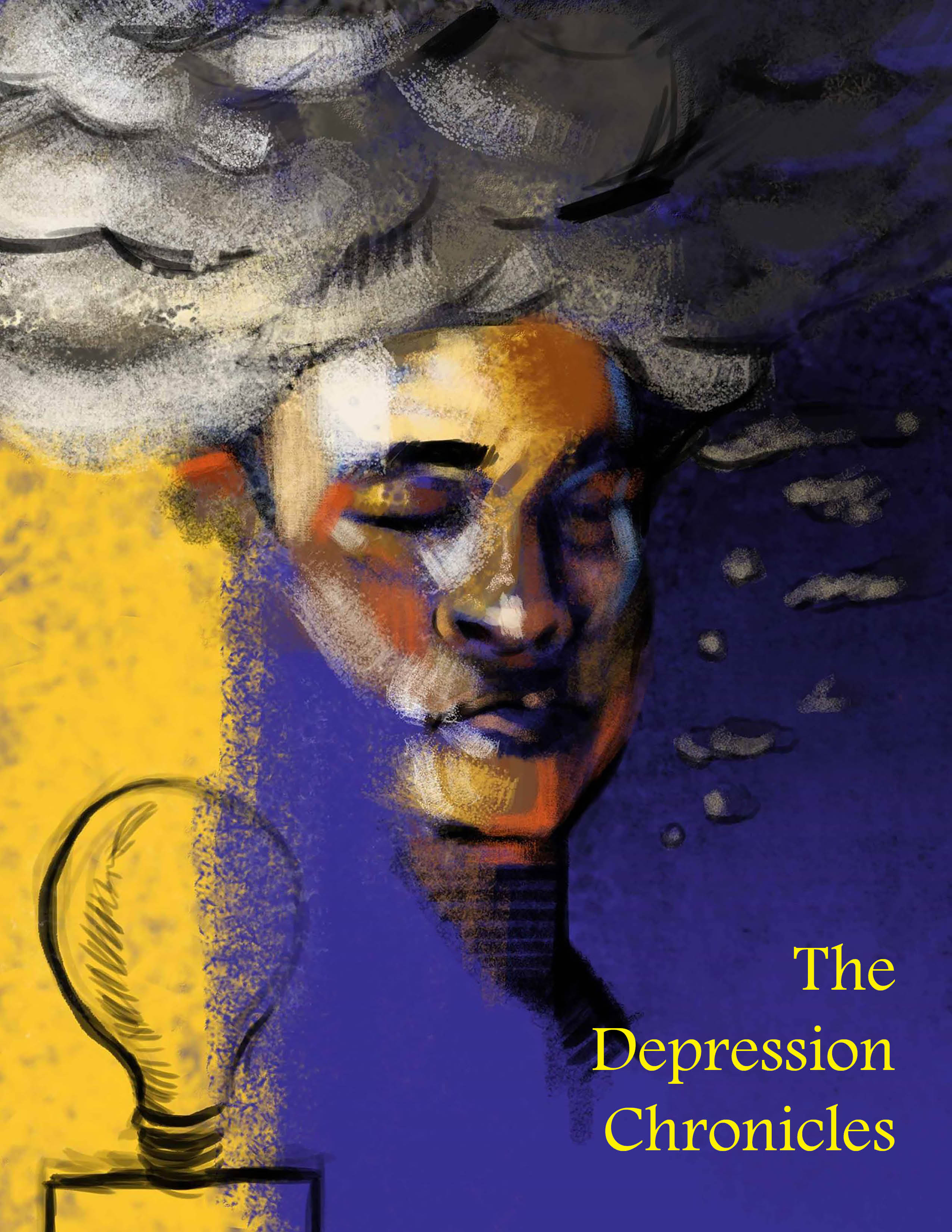 The Depression Chronicles Cover